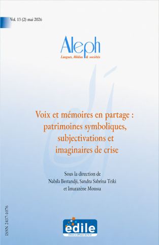 Couverture du volume 13 (2)