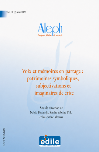 Couverture du volume 13 (2)