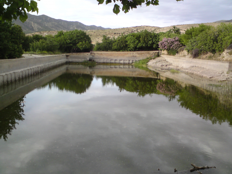 Tawleft 01. Agelmim n Cennawra