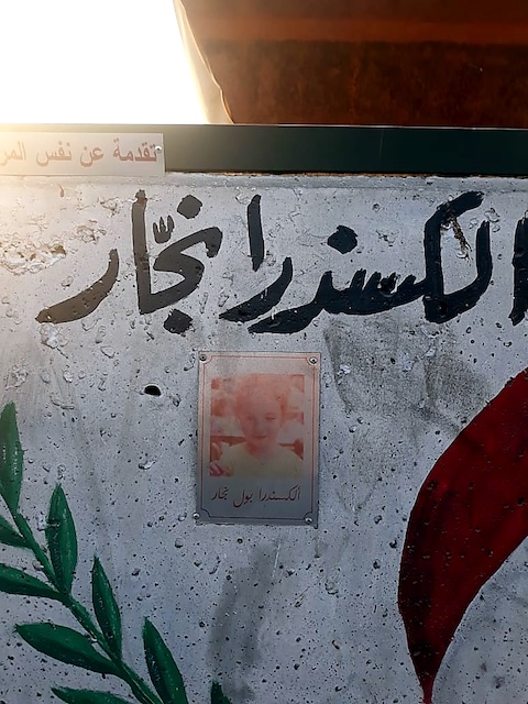 Figure 20 : Alexandra Najjar