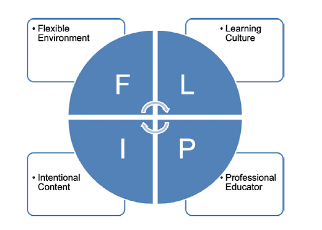 Figure N° 2. The four pillars of the F.L.I.P. approach 
