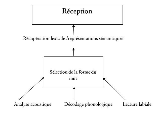 Modèle de perception et de production de la parole intégrant la mémoire de travail phonologique Bachoud-Lévi, A.C., Darcy, Jacquemont, C., Teichman. Rapport d’activité 2001-2005 LSCP Paris.