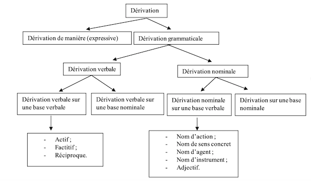Figure n° 1. Représentation schématique des différents types de dérivation berbère