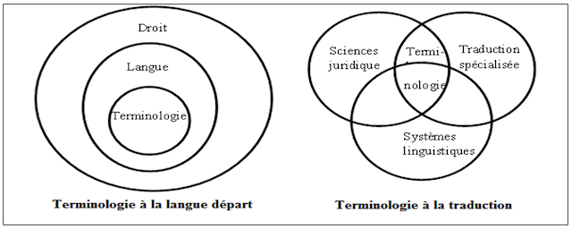 Schéma N01 : Terminologie à l’intersection des sciences juridiques, de la traduction et des systèmes linguistiques 