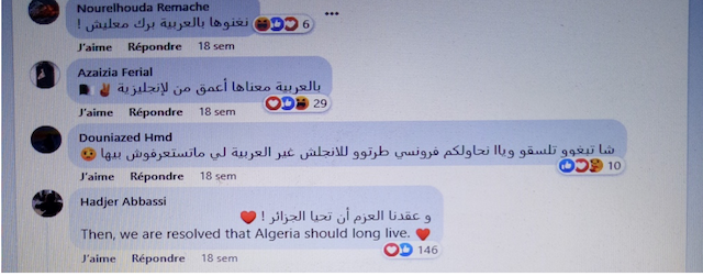Image N° 5. Capture d’écran d’un commentaire qui traduit l’extrait de l’arabe en anglais 