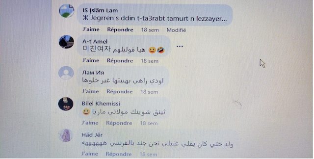 Image N° 8. Capture d’écran d’un commentaire qui démontre l’usage de l’amazigh 