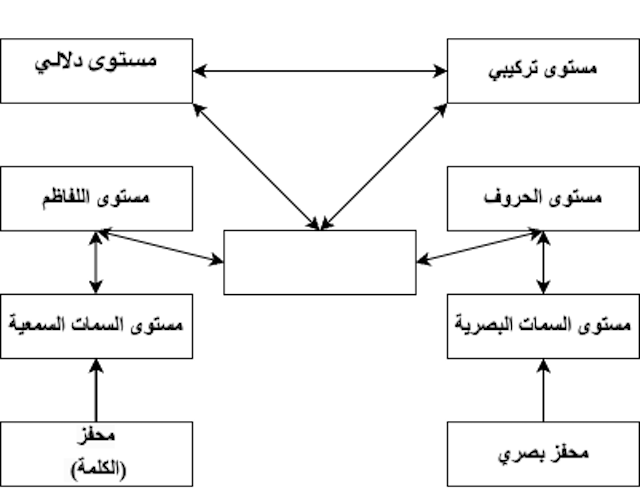 الشكل2 : مخطط مبسط لمنوال التنشيط التفاعلي، ماككليلاند وروميلهارت(1981)