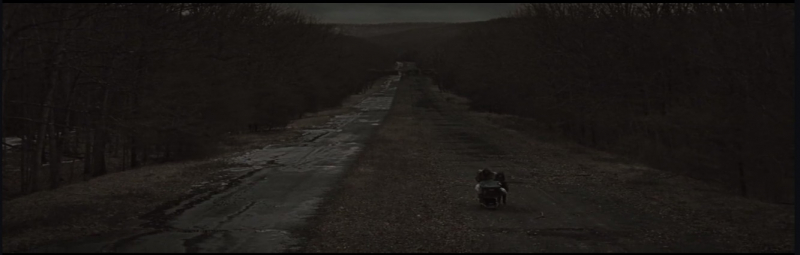 Figure 03: The Empty Destroyed Street in The Road