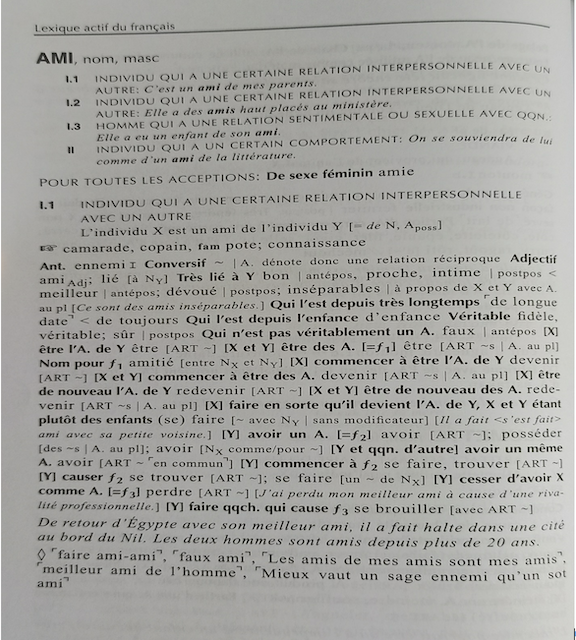Figure N° 1. Exemple de modélisation lexicographique