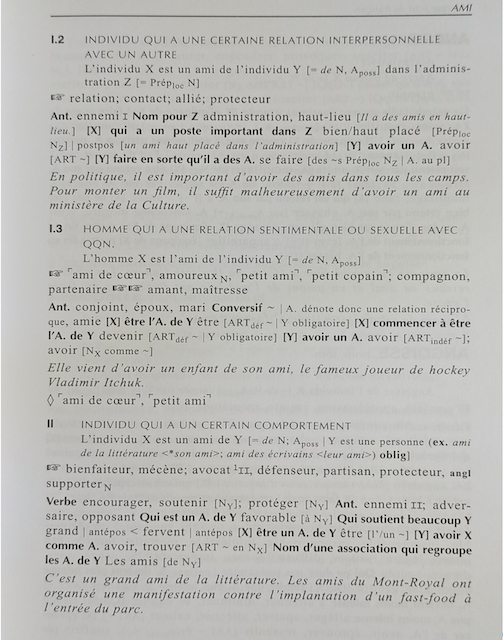 Figure N° 1. Exemple de modélisation lexicographique