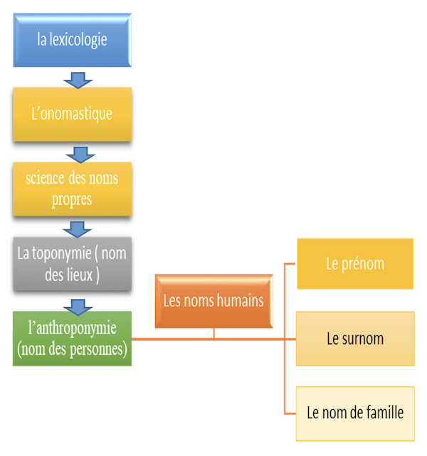 Figure N° 1 : un schéma qui représente l’origine de l’anthroponymie