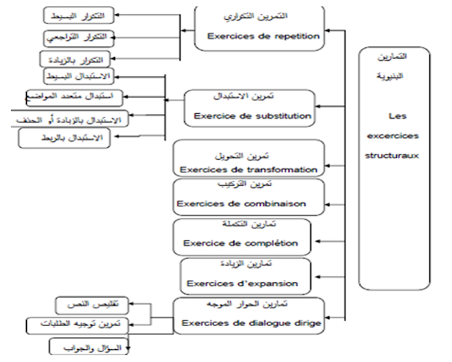 الشكل رقم 01: خصائص التمارين البنيوية