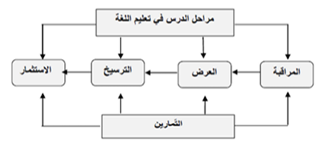 الشكل رقم 3: موقع التمرين اللّغوي من مراحل الدّرس29