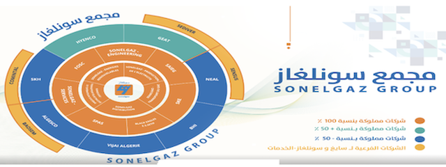 الشكل رقم (01): مجمع سونلغاز