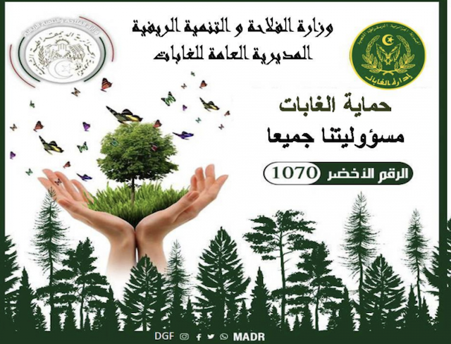 Image 1000020100000280000001E88DFAA472719D50AD.png