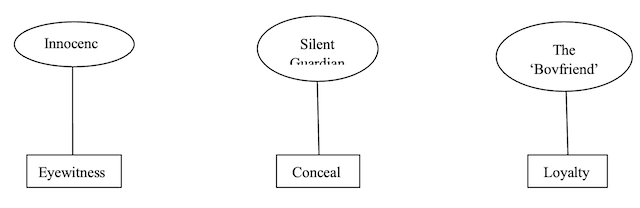 Figure N° 2. Thematic Map for the themes related to the Portrayal of Raffaele Sollecito