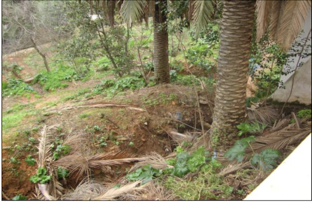 Image 1000020100000280000001A0DCF5F3D51F73B4CF.png