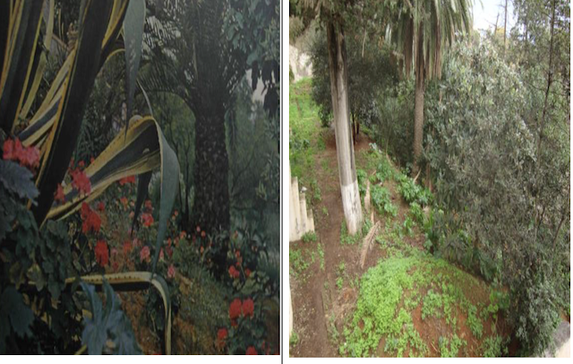 Image 10000201000002800000019601AD7ECDD54E87F8.png