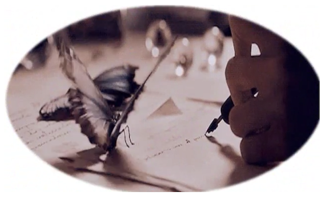 الشكل (10) : مشهد الختام والفراشة الميتة