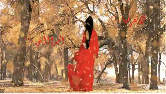 الشكل (14) : ظهور الأنثى بالفستان الأحمر